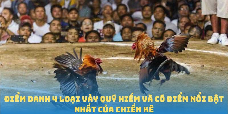 Điểm danh 4 loại vảy quý hiếm và có điểm nổi bật nhất của chiến kê