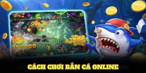 Hướng Dẫn Cách Chơi Bắn Cá Online Hiệu Quả Tại Nền Tảng WW88
