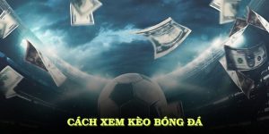 Cách Xem Kèo Bóng Đá Hiệu Quả Tại WW88 Dành Cho Người Mới