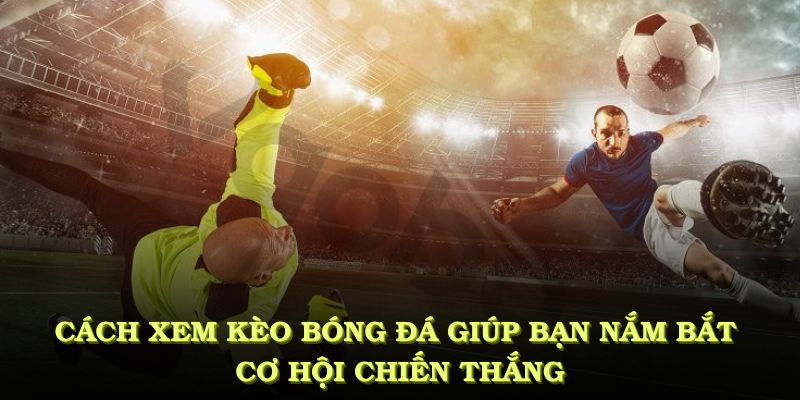 Cách xem kèo bóng đá giúp bạn nắm bắt cơ hội chiến thắng