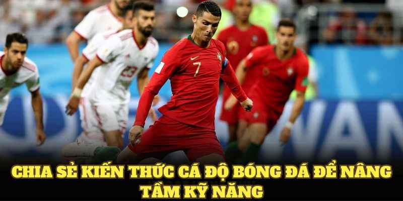 Chia sẻ kiến thức cá độ bóng đá để nâng tầm kỹ năng