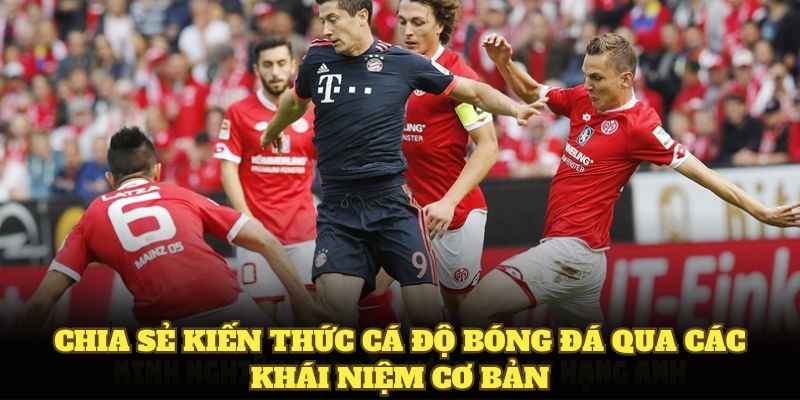 Chia sẻ kiến thức cá độ bóng đá qua các khái niệm cơ bản