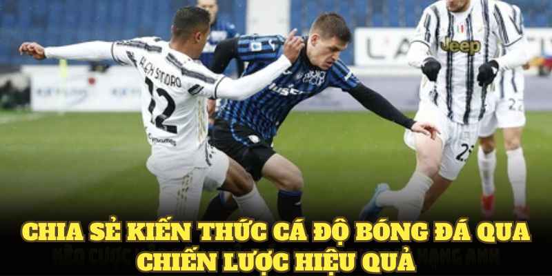 Chia sẻ kiến thức cá độ bóng đá qua chiến lược hiệu quả