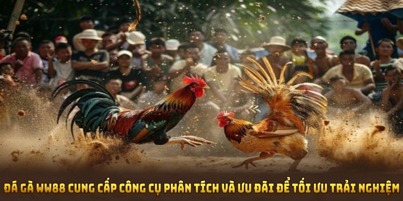 Đá gà WW88 cung cấp công cụ phân tích và ưu đãi để tối ưu trải nghiệm