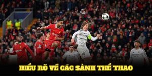 Hiểu Rõ Về Các Sảnh Thể Thao Và Bí Quyết Cá Cược Tại WW88