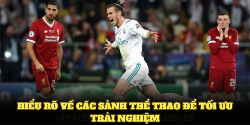 Hiểu rõ về các sảnh thể thao để tối ưu trải nghiệm