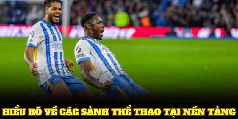 Hiểu rõ về các sảnh thể thao tại nền tảng