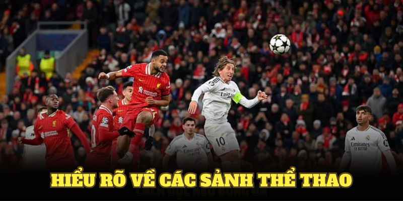 Hiểu Rõ Về Các Sảnh Thể Thao Và Bí Quyết Cá Cược Tại WW88