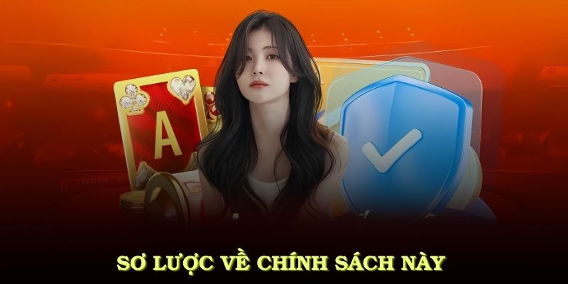 Sơ lược về chính sách này