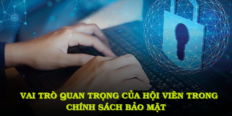 Tổng hợp các vai trò quan trọng của hội viên trong chính sách bảo mật
